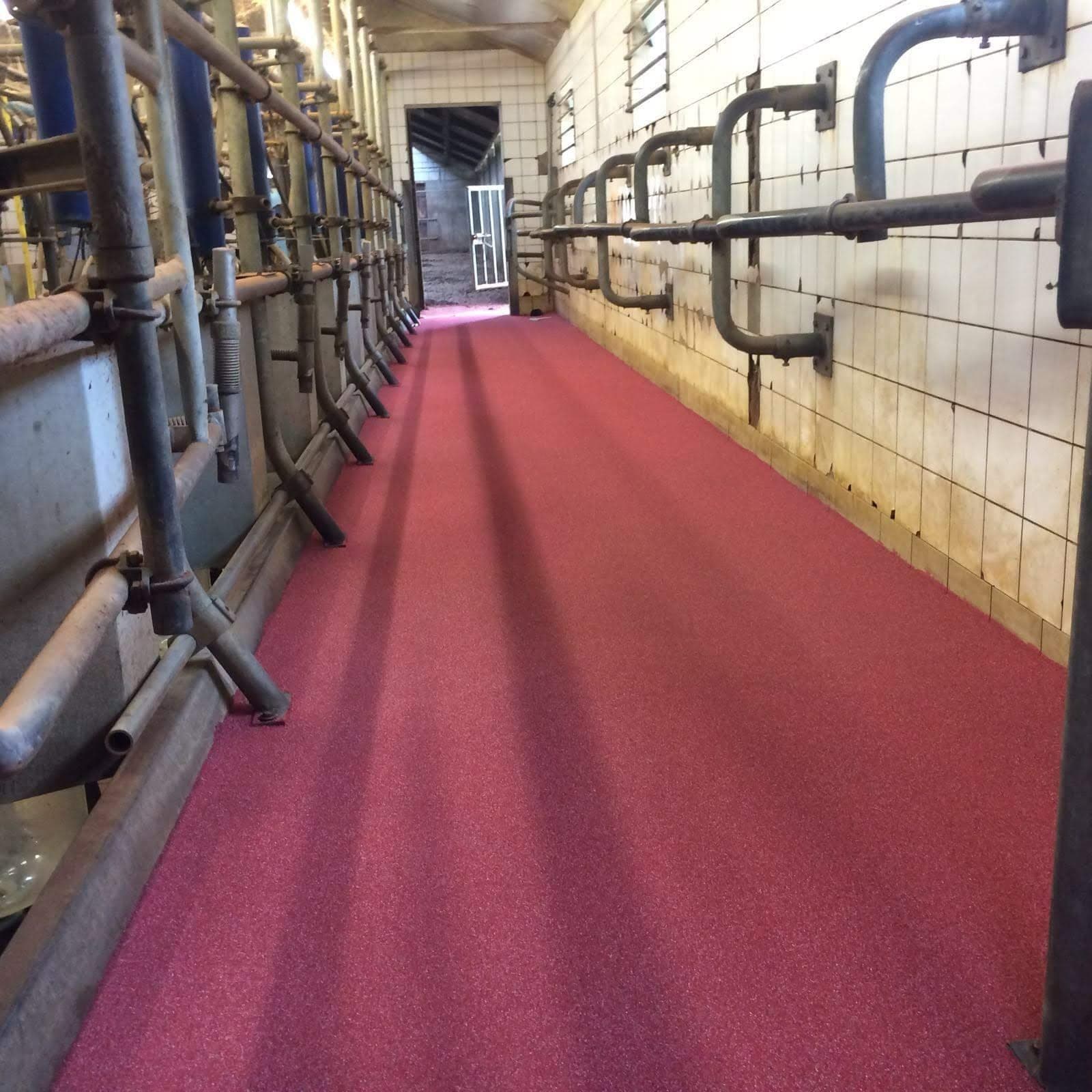 Bordeauxrode coatingvloer met antislip in een melkstal
